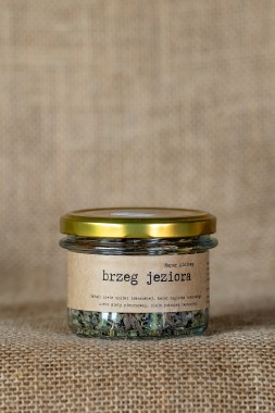Brzeg jeziora 